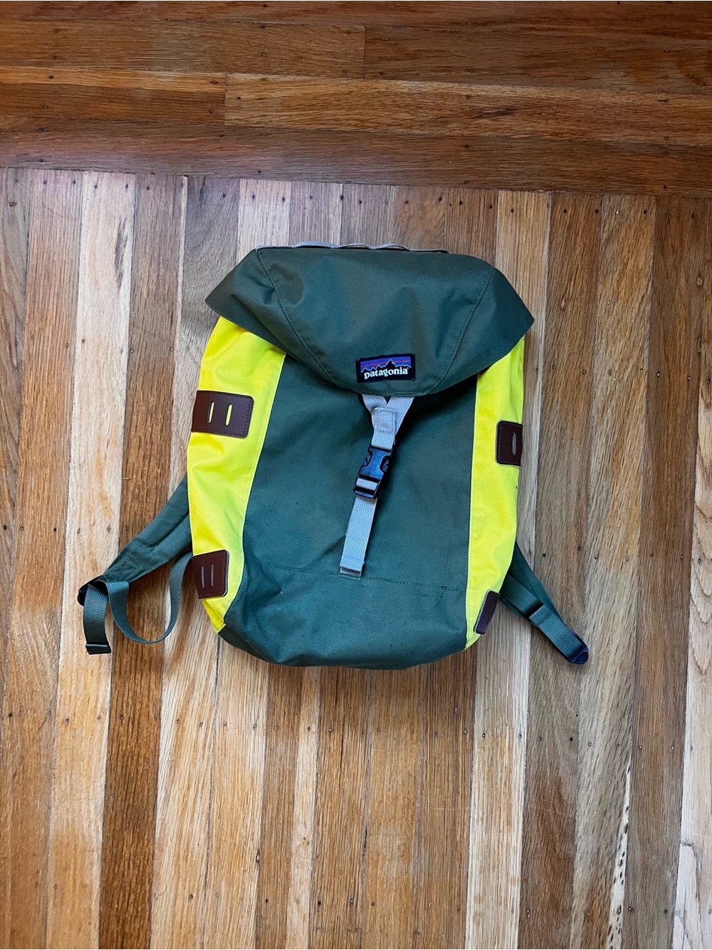 Patagonia Green Daypack Bonsai 14L